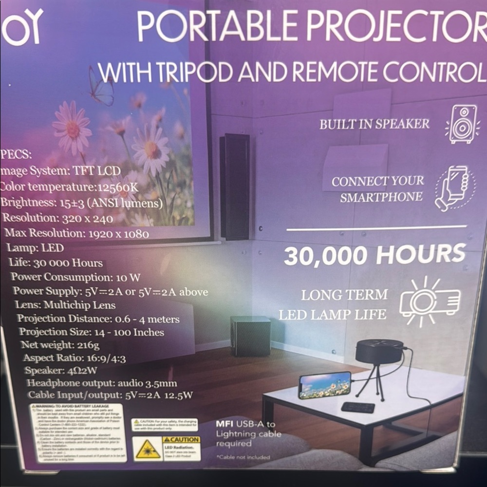 Black Wall Decor with Portable DVD Player Features